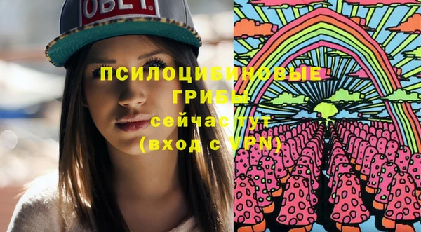 гидра Алексин