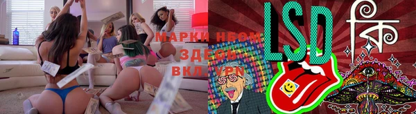 гидра Алексин
