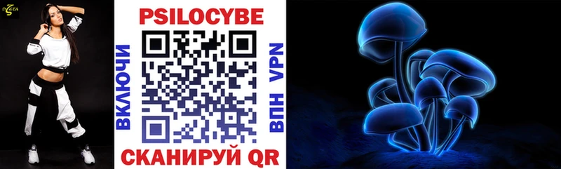 маркетплейс как зайти Курчалой Галлюциногенные грибы Psilocybe где можно купить